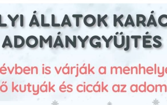 Menhelyi Állatok Karácsonya