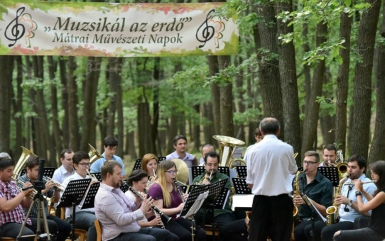 Muzsikál az erdő rajzpályázat